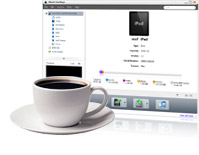 ipad magic, ipad transfer, ipad video converter